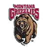 University of Montana Data Recovery Data Recovery Success Story
